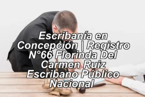Escribanía en Concepción | Registro N°66 Florinda Del Carmen Ruiz Escribano Público Nacional ◀