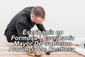 Escribanía en Formosa | Escribania Mayor De Gobierno Provincia De Formosa ◀