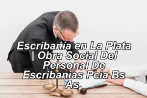 Escribanía en La Plata | Obra Social Del Personal De Escribanias Pcia Bs As ◀