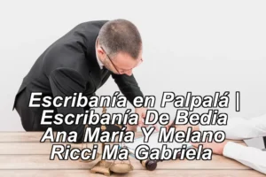 Escribanía en Palpalá | Escribanía De Bedia Ana María Y Melano Ricci Ma Gabriela ◀