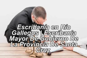 Escribanía en Río Gallegos | Escribania Mayor De Gobierno De La Provincia De Santa Cruz ◀
